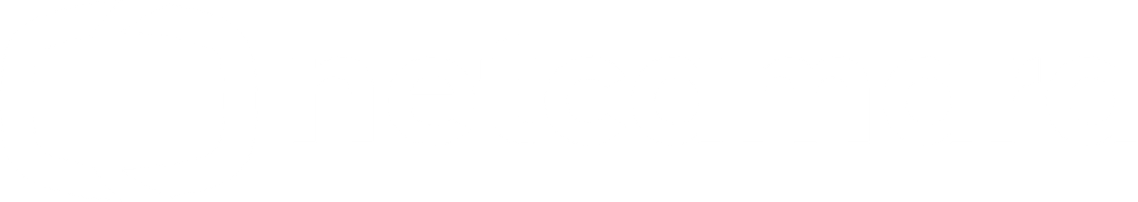 Netcamara